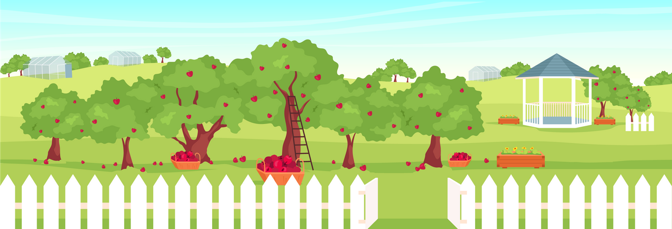 Apple orchard Illustration