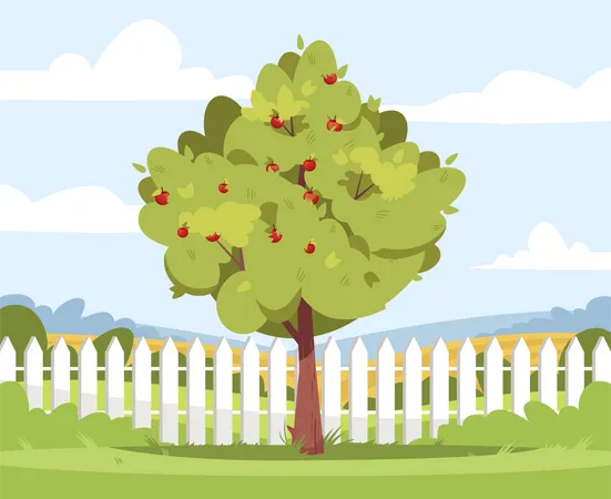 Apple Tree In Backyard Garden Plant For Agriculture Business イラスト