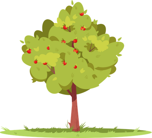 Apple Tree In The Forest Illustration