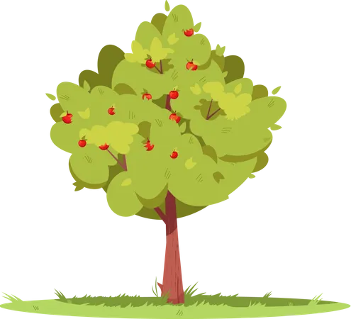 Apple Tree In The Forest  Illustration