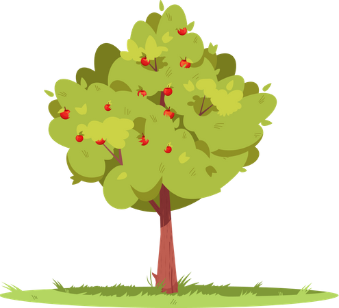 Apple Tree In The Forest  Illustration