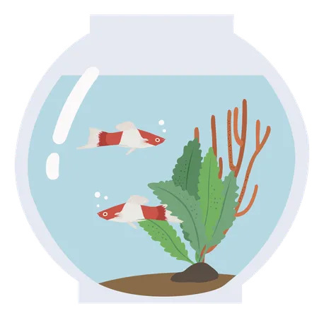 Aquarium  Illustration