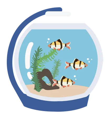 Aquarium Fish  Illustration