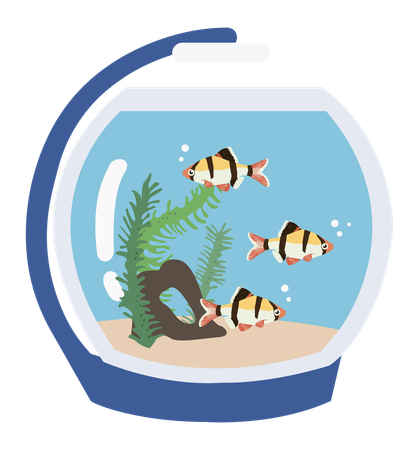 Aquarium Fish  Illustration