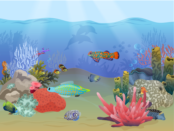 Aquatic life underwater  Illustration