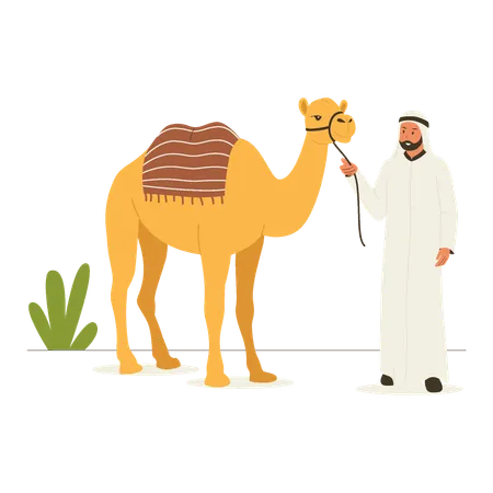 Arabic man with camel  Illustration