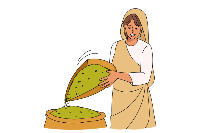Arabic woman winnowing grains in field  Illustration
