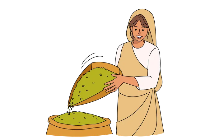 Arabic woman winnowing grains in field  Illustration