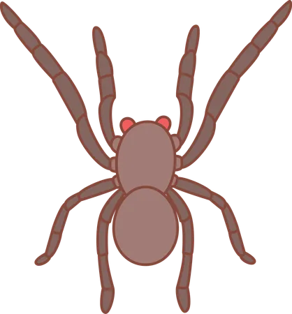 Aranha  Ilustração