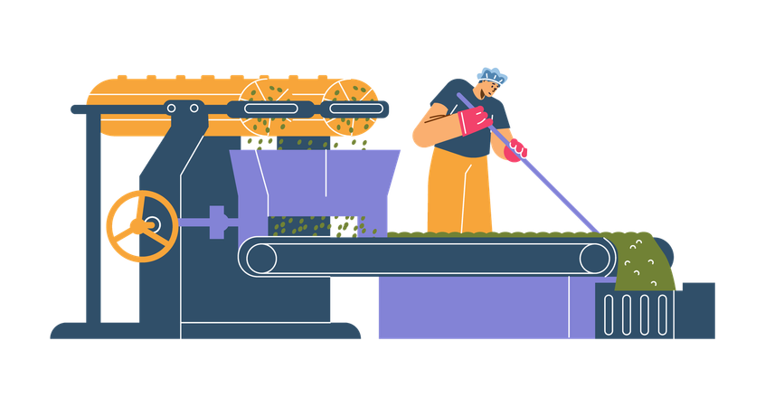 Arbeiter richtet Teeblätter auf Förderband während des Produktionsprozesses aus  Illustration