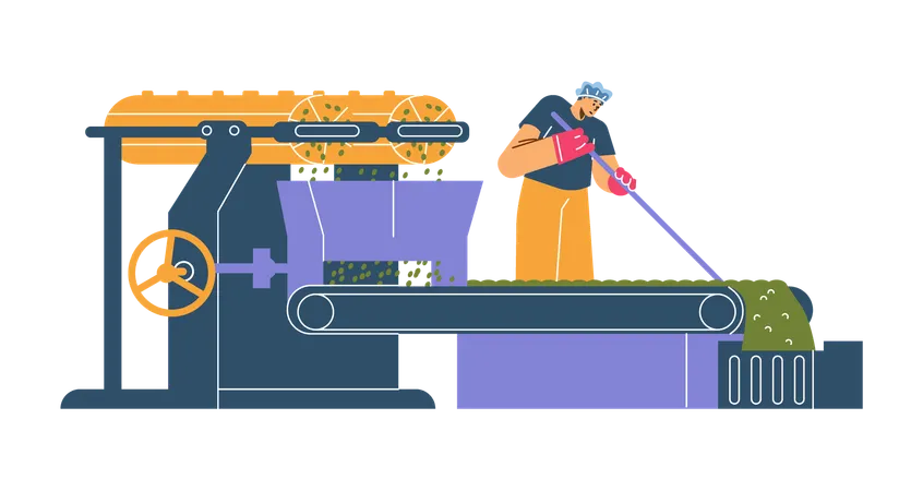 Arbeiter richtet Teeblätter auf Förderband während des Produktionsprozesses aus  Illustration