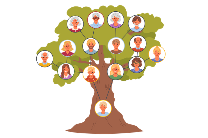 Árbol genealógico de generaciones.  Ilustración