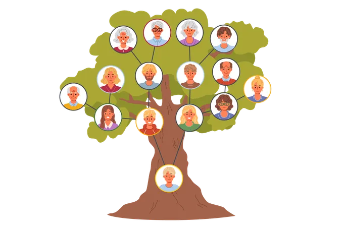 Árbol genealógico de generaciones.  Ilustración