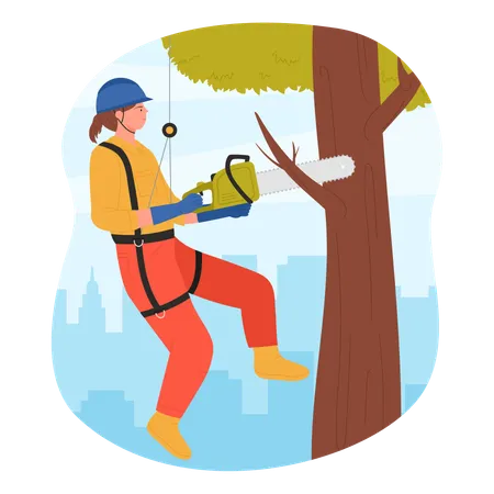 Arborist With Chainsaw Cutting City Park Tree Vector Illustration Cartoon Woman Industrial Climber In Helmet And Safety Belt Holding Equipment To Cut Wood Professional Tree Surgeon Hanging On Rope Illustration