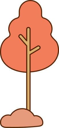 Arbre  Illustration