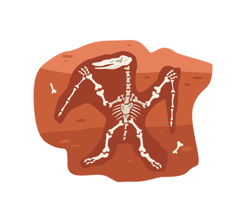 Archaeological fossil with dinosaurs skeleton  Illustration