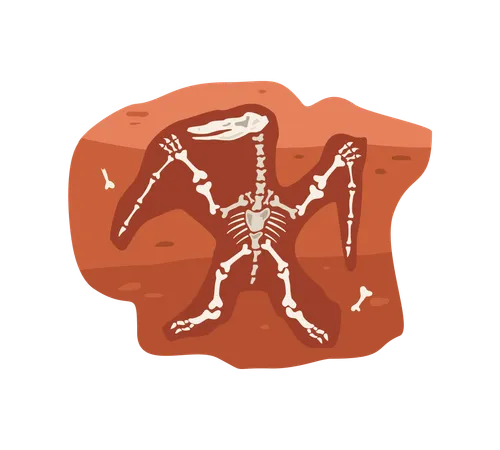 Archaeological fossil with dinosaurs skeleton  Illustration