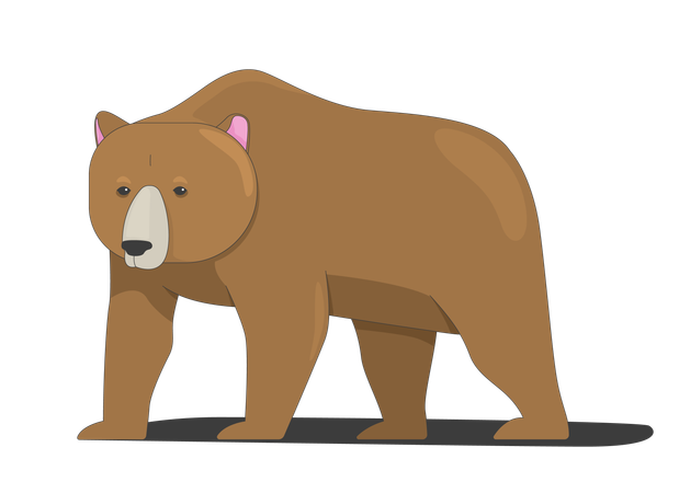 Arctic polar bear  Illustration