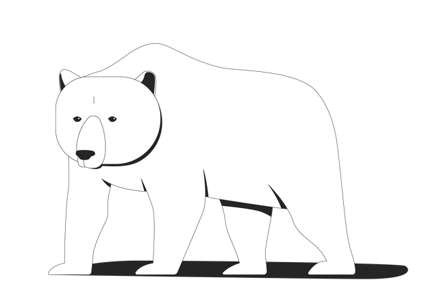 Arctic polar bear  Illustration