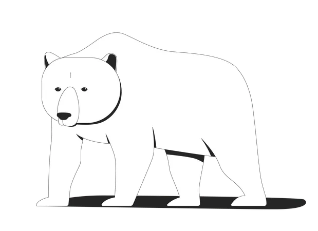 Arctic polar bear  Illustration
