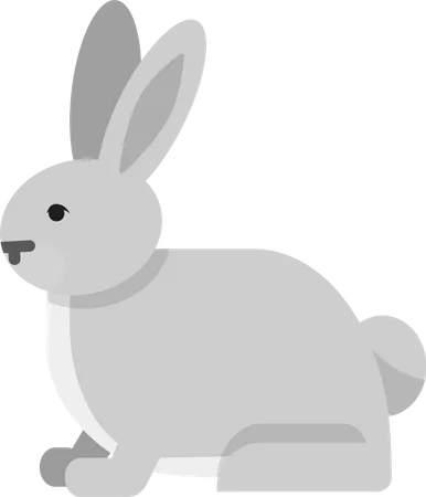 Arctic rabbit  Illustration