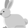 illustration arctic rabbit