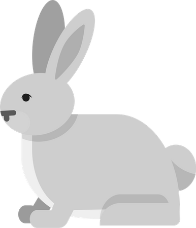 Arctic rabbit  Illustration