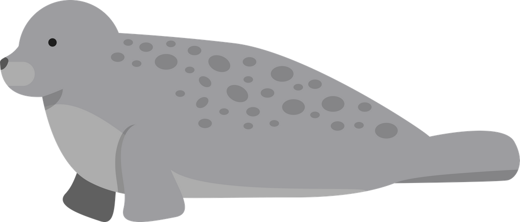 Arctic water seal  Illustration