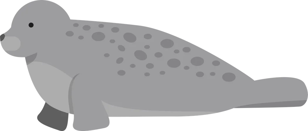 Arctic water seal  Illustration