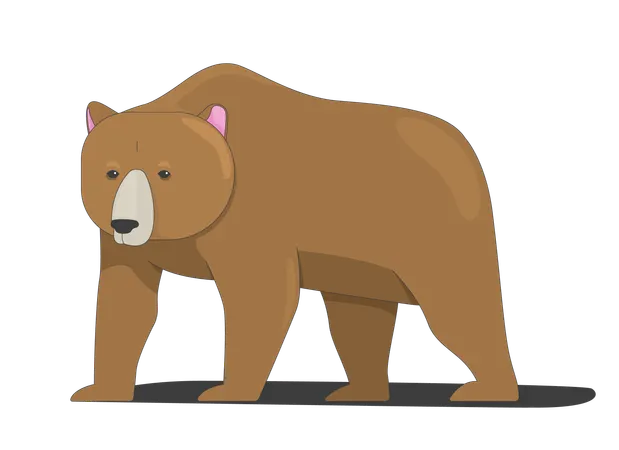 Arktischer Eisbär  Illustration