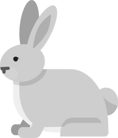 Arktisches Kaninchen  Illustration
