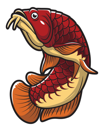 Arowana-Fisch  Illustration