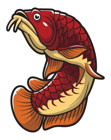 Arowana Fish  Illustration