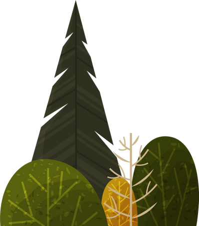 Árvore  Ilustração
