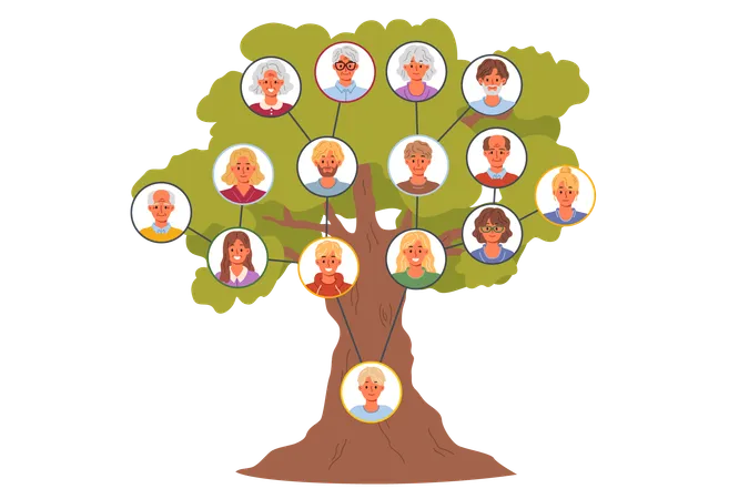 Árvore genealógica de gerações  Ilustração