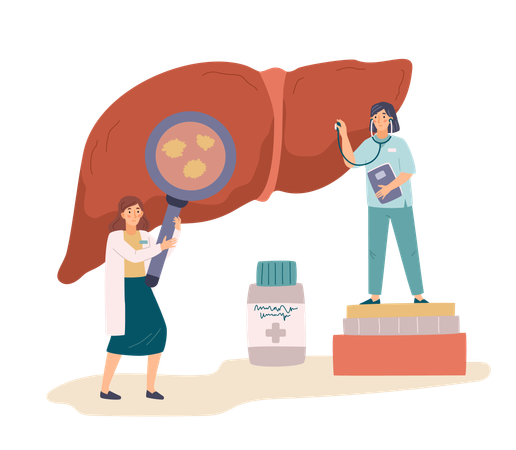 Arzt mit Lupe und Krankenschwester mit Stethoskop untersuchen Leber  Illustration