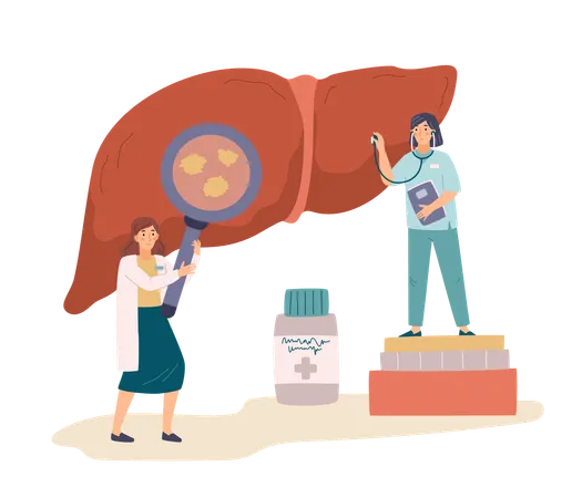 Arzt mit Lupe und Krankenschwester mit Stethoskop untersuchen Leber  Illustration