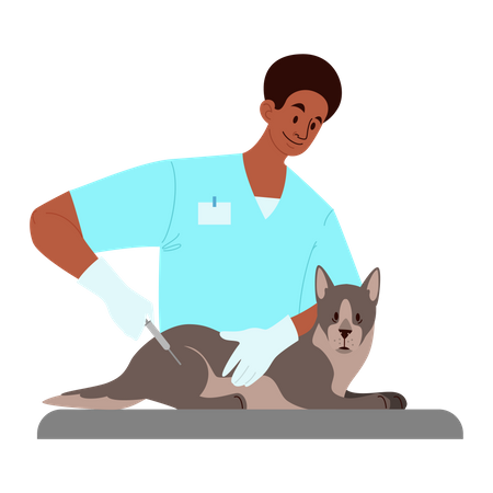 Arzt verabreicht Haustier Impfstoff  Illustration