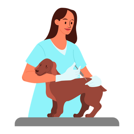 Arzt verabreicht Hund Impfung  Illustration