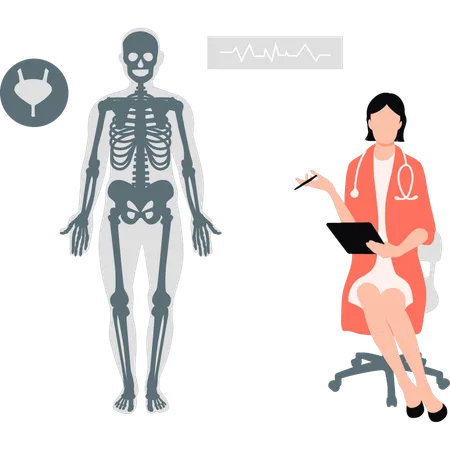 Arzt zeigt menschliches Körperskelett  Illustration