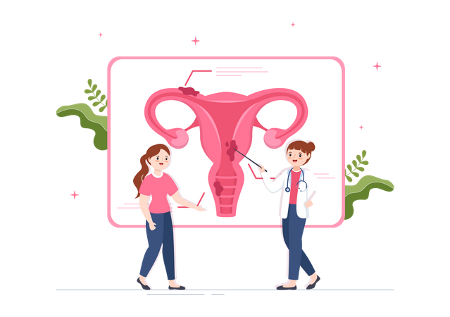 Ärztin spricht mit Frau über Vagina  Illustration