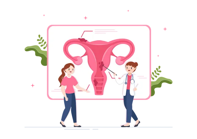 Ärztin spricht mit Frau über Vagina  Illustration