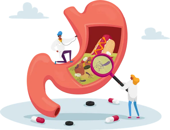 Arztstudie Magenschmerzen Ursachen von Gastritis und Helicobacter-Krankheit  Illustration