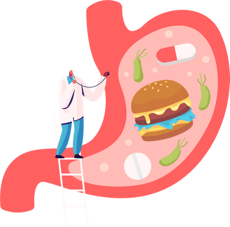 Arztstudie Magenschmerzen Ursachen von Gastritis und Helicobacter-Krankheit  Illustration