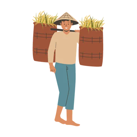 Asian farmer brings harvested rice  Illustration