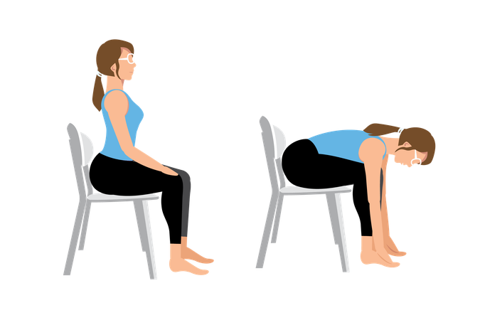 Toucher des orteils en position assise  Illustration