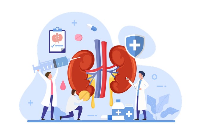 Atención sanitaria y tratamiento renal  Ilustración