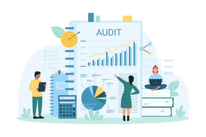 Audit Analysis  Illustration