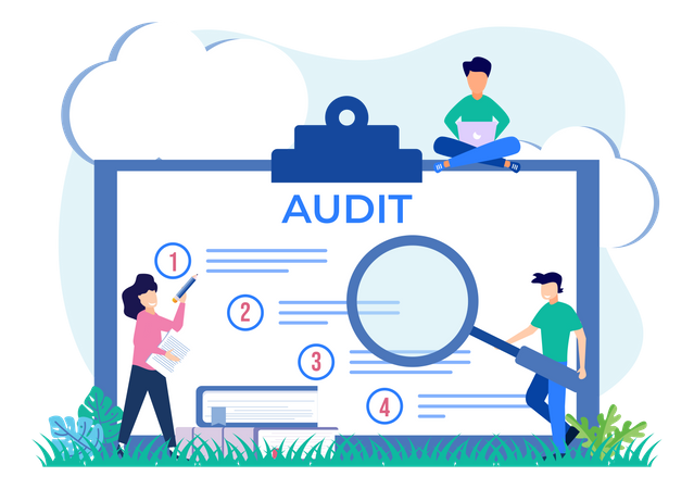 Audit Report  Illustration