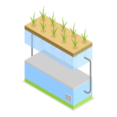 3 D Isometric Flat Vector Illustration Of Growing Systems Greenhouse Agriculture Methods Item 2 イラスト